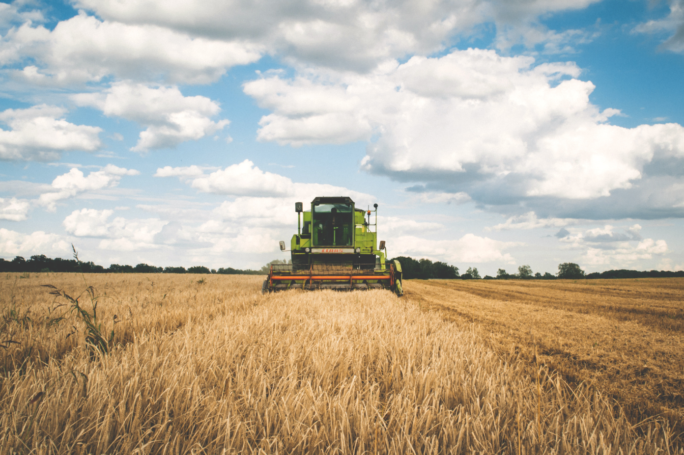 Traktor auf Kornfeld